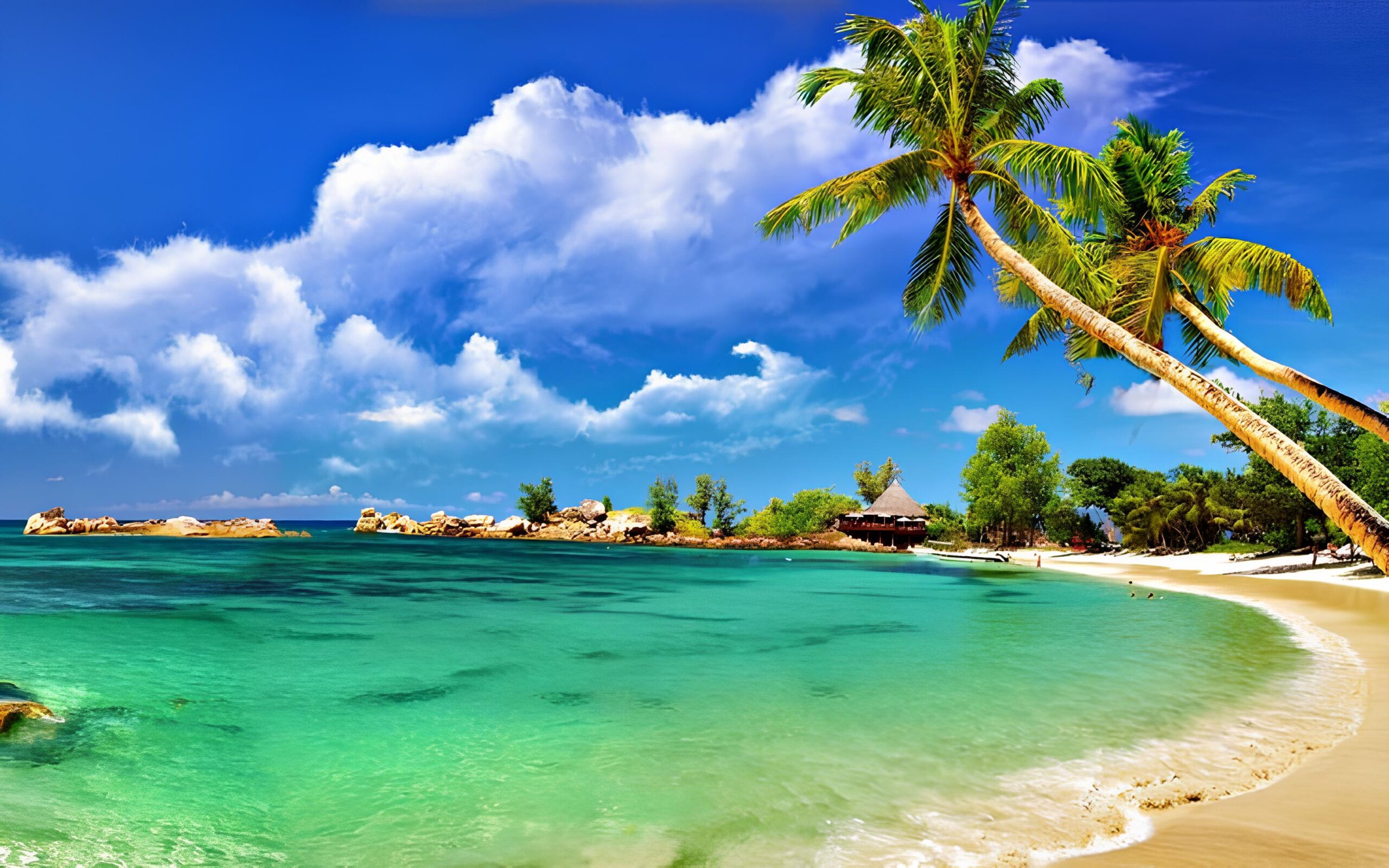 Sri Lanka tropical beach with palm trees and turquoise ocean